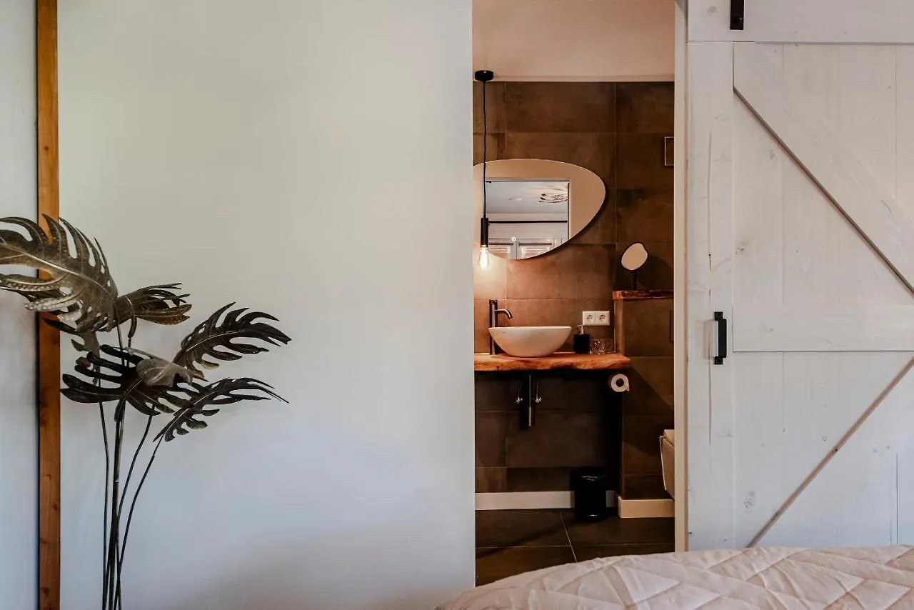Apartment Bed And Beach Zandvoort