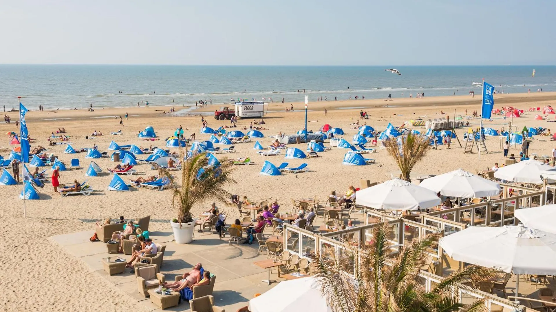Apartment Bed And Beach Zandvoort