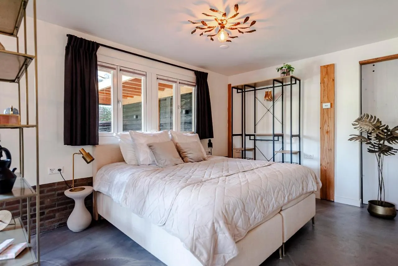 Bed And Beach Zandvoort Niederlande